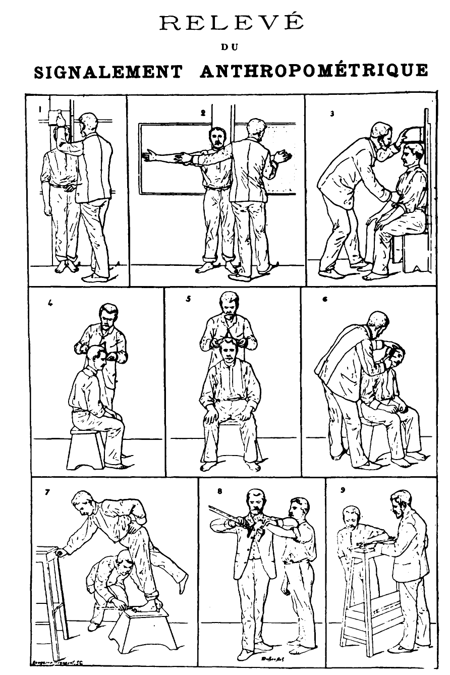 Bertillonage measurements in practice.
