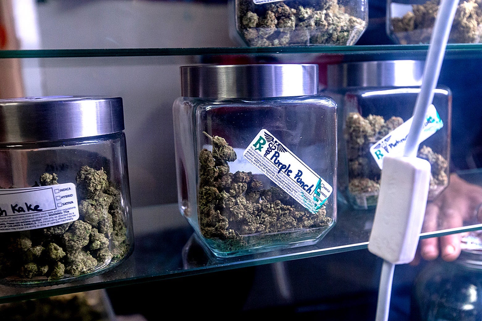 Inside the NJ Weedman’s Joint.