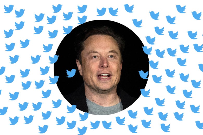 Elon Musk surround by a bunch of blue Twitter birds.