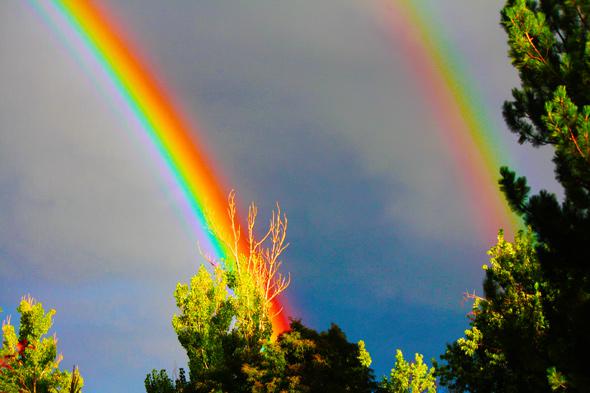 Circular Rainbow Rare Optic Effect Seen From The Air