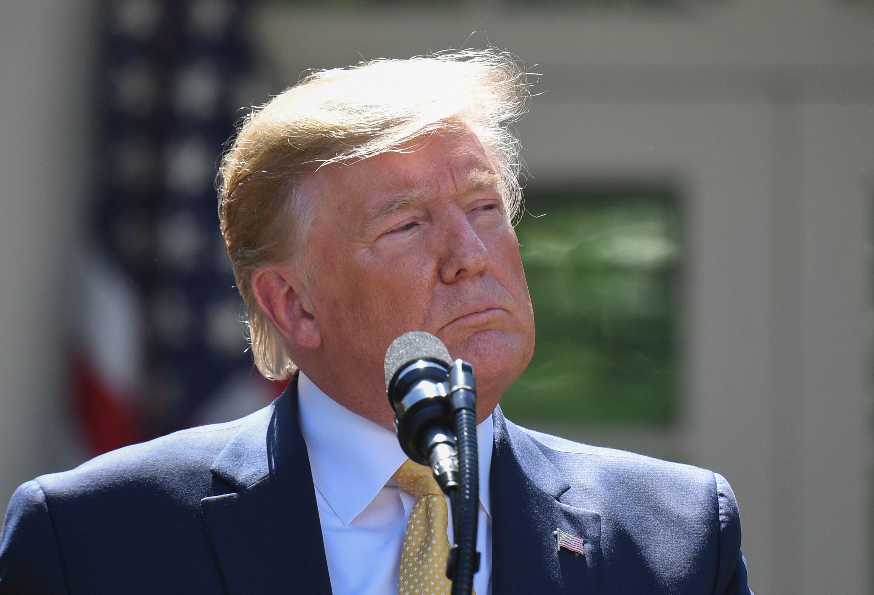 Trump speaks in the Rose Garden.