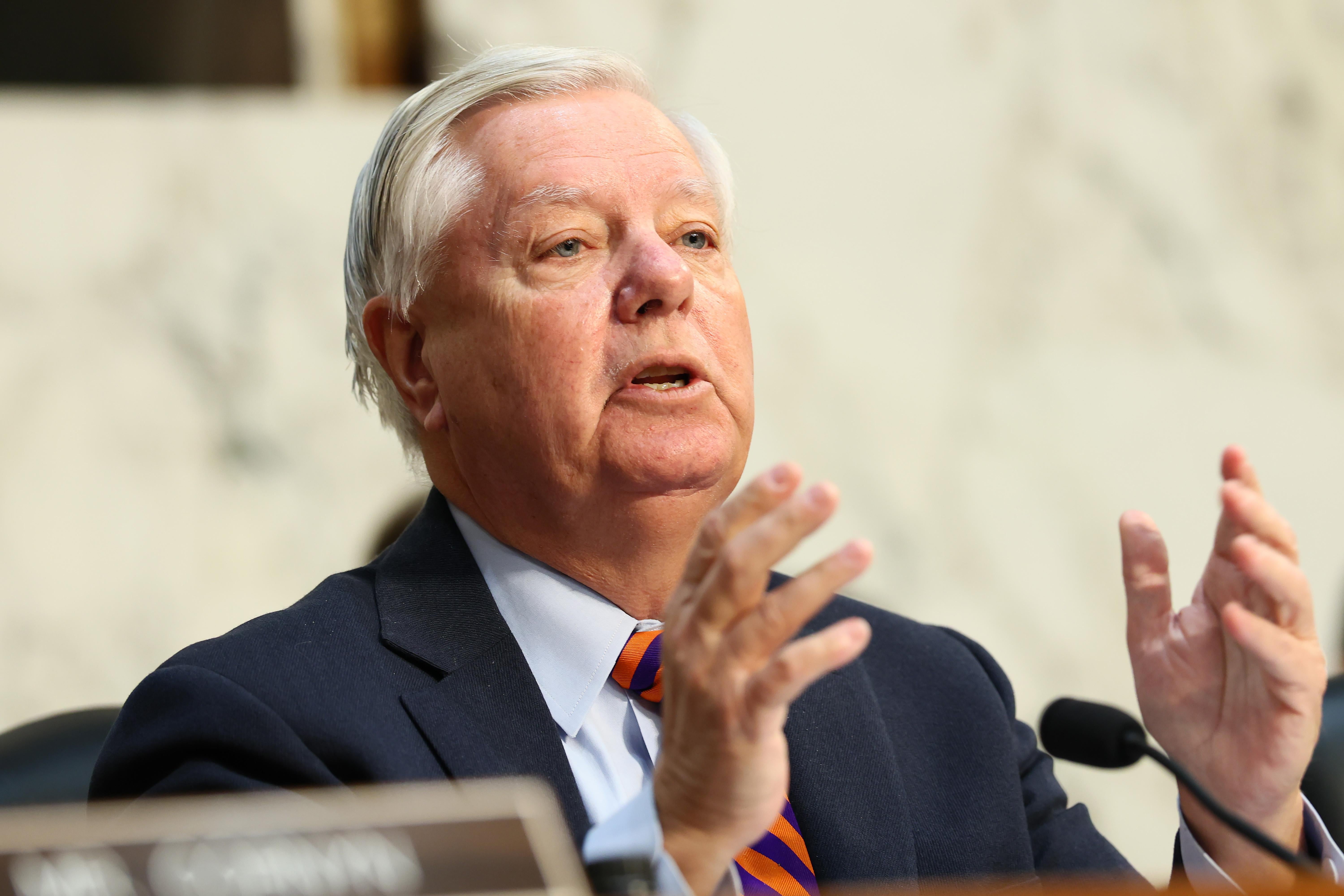 Lindsey Graham's Death: SC Senate Seat Battle & Trump's Influence | Quick Digest