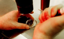 Human embryos
