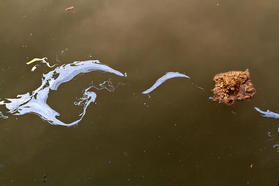 Untitled (Gowanus Canal)