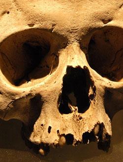 A Short History Of Skulls As Decor Throughout History Skulls Have Been Particularlymultipurpose Symbols Want To Honor The Dead Use A Skull Promote Eternalwisdom