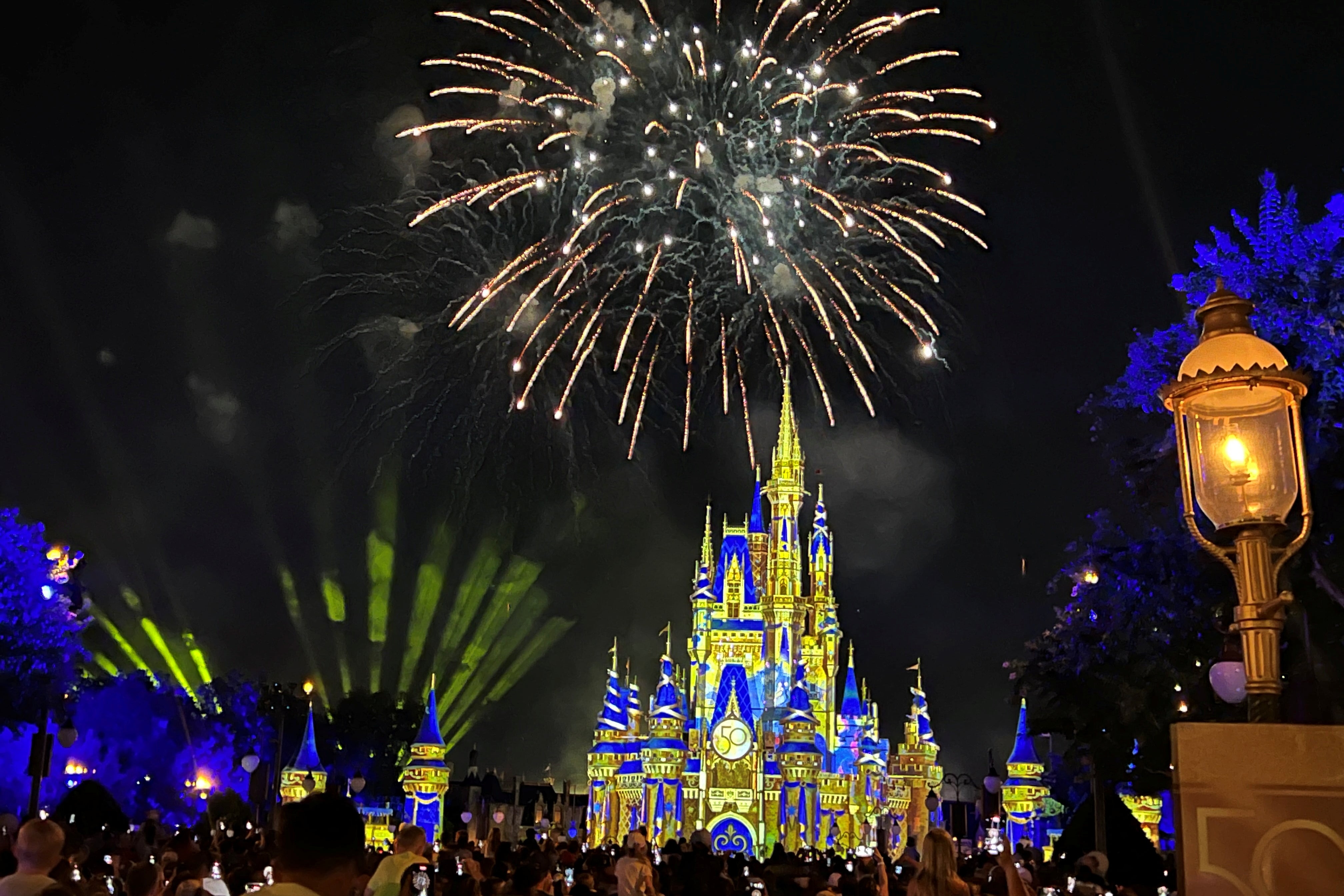 Fireworks above Disney World.