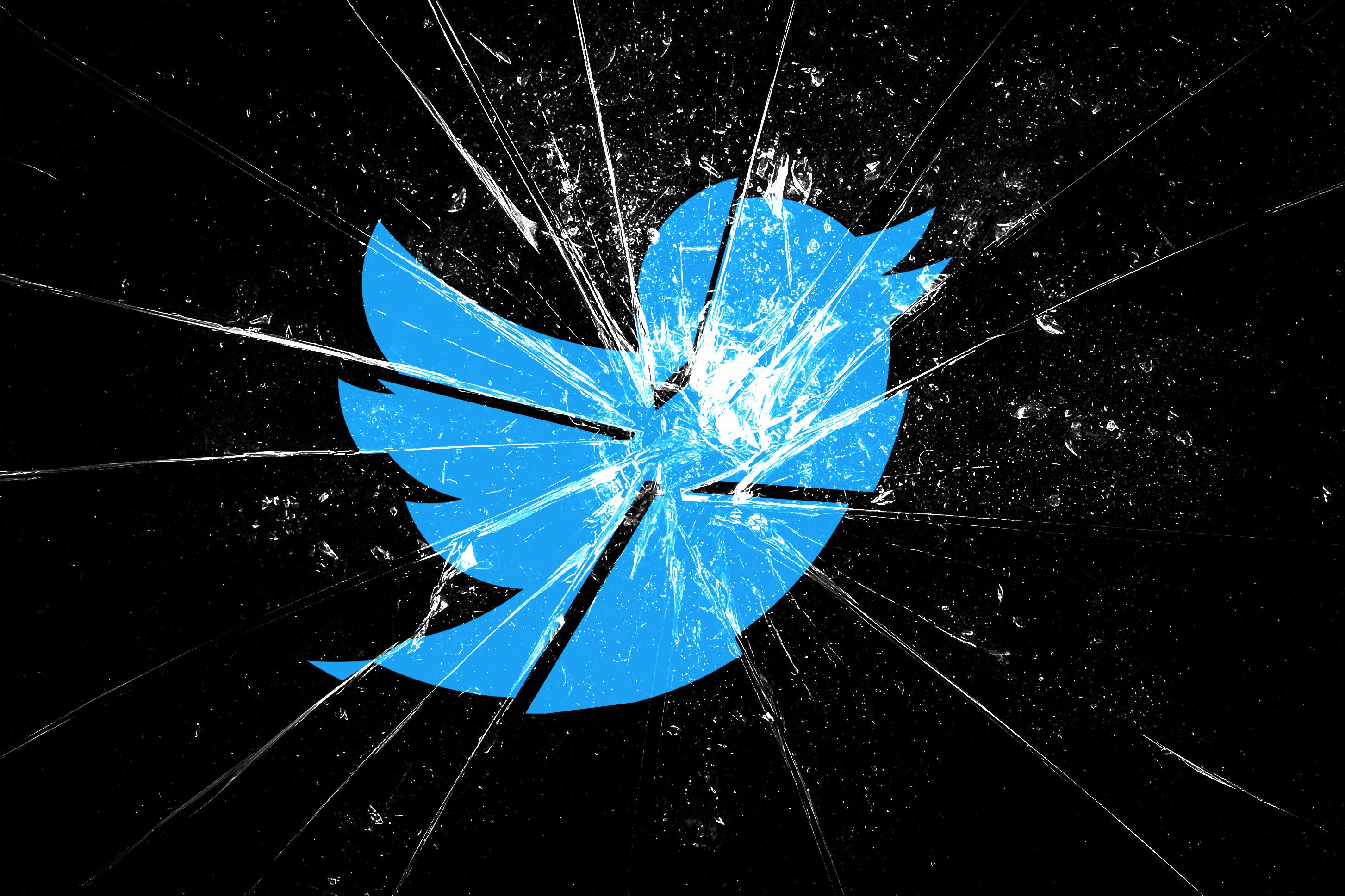 A broken Twitter bird.