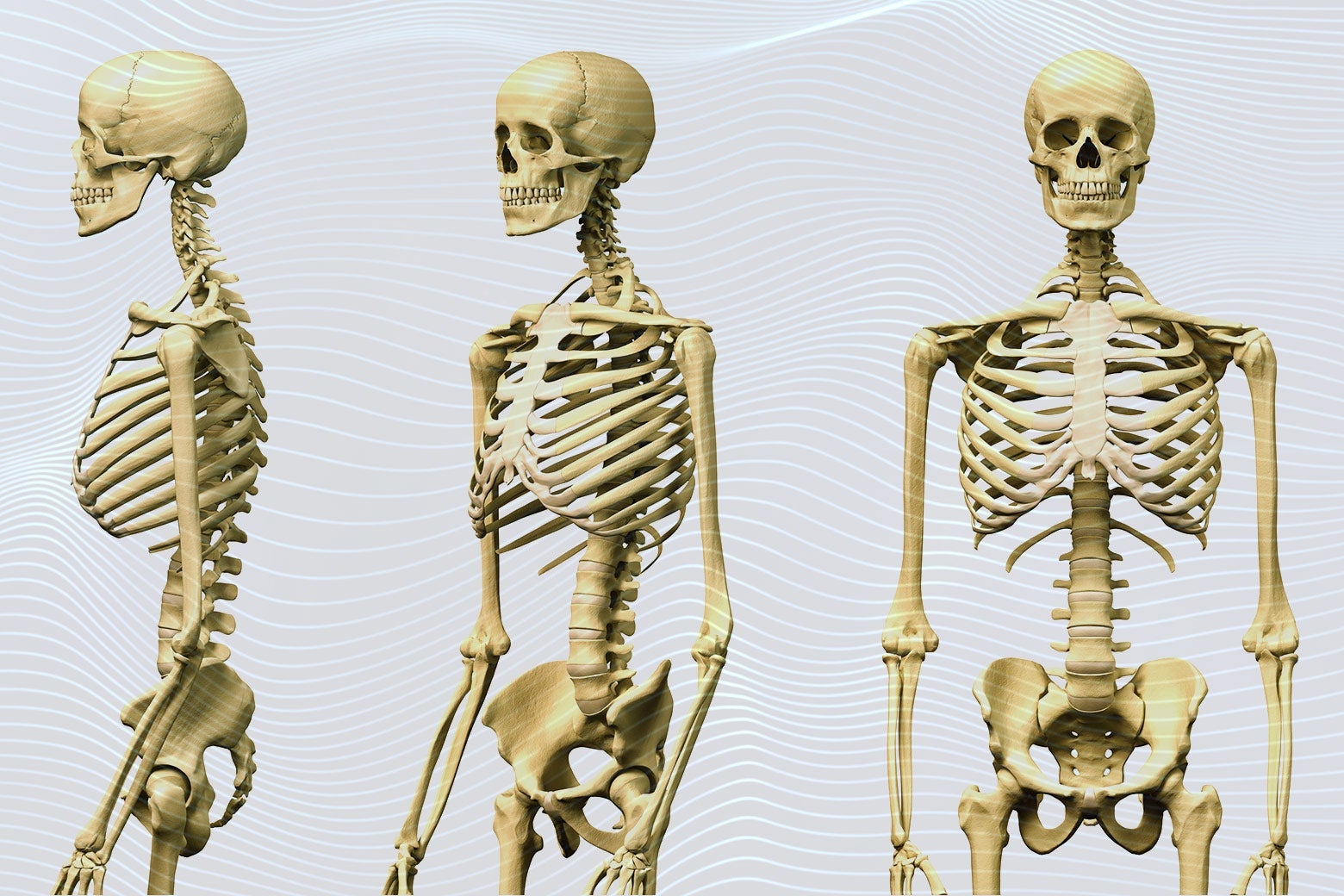 Three skeletons against a wavy 3D printed-type background.