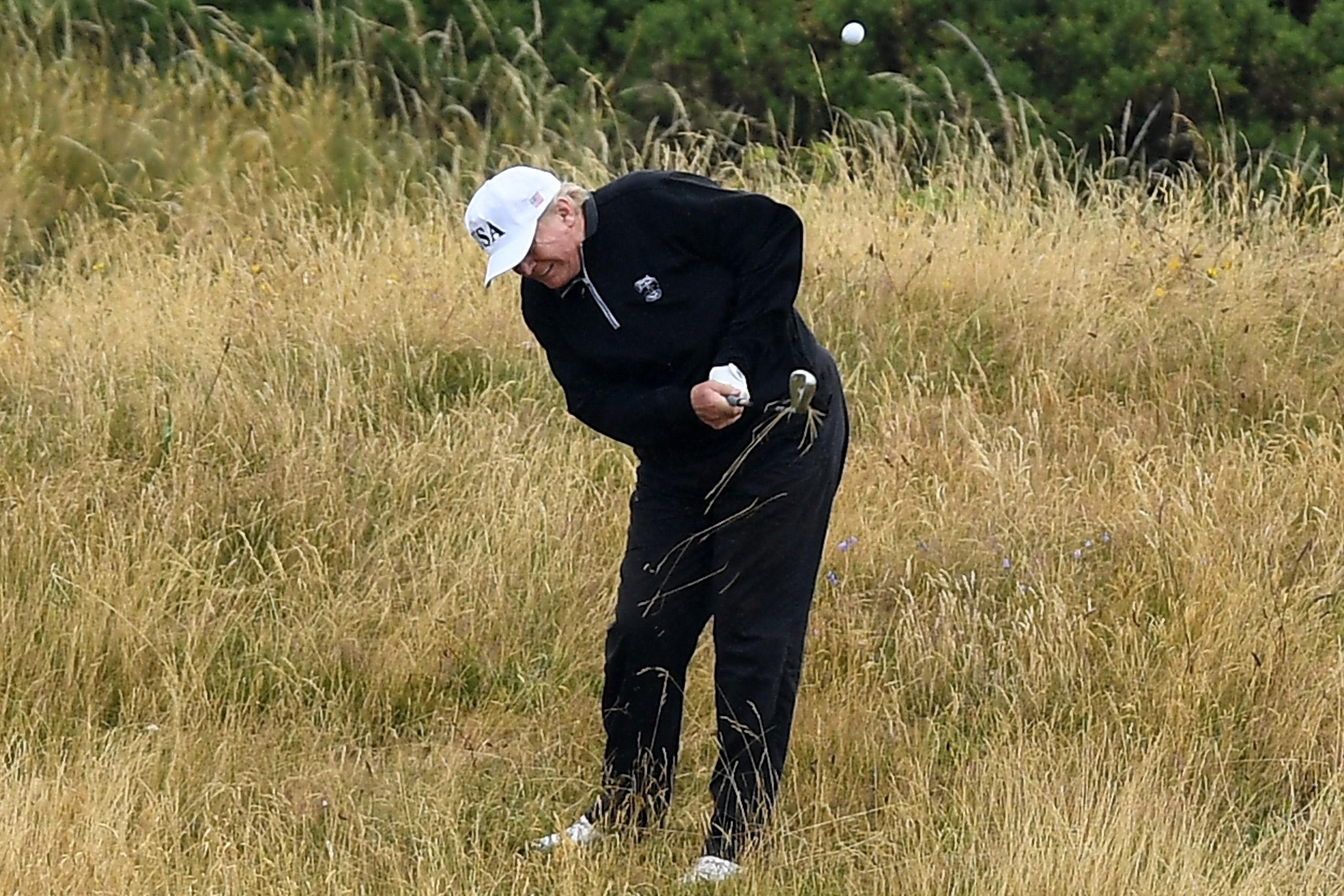 Donald Trump playing golf in a field of tall grass.
