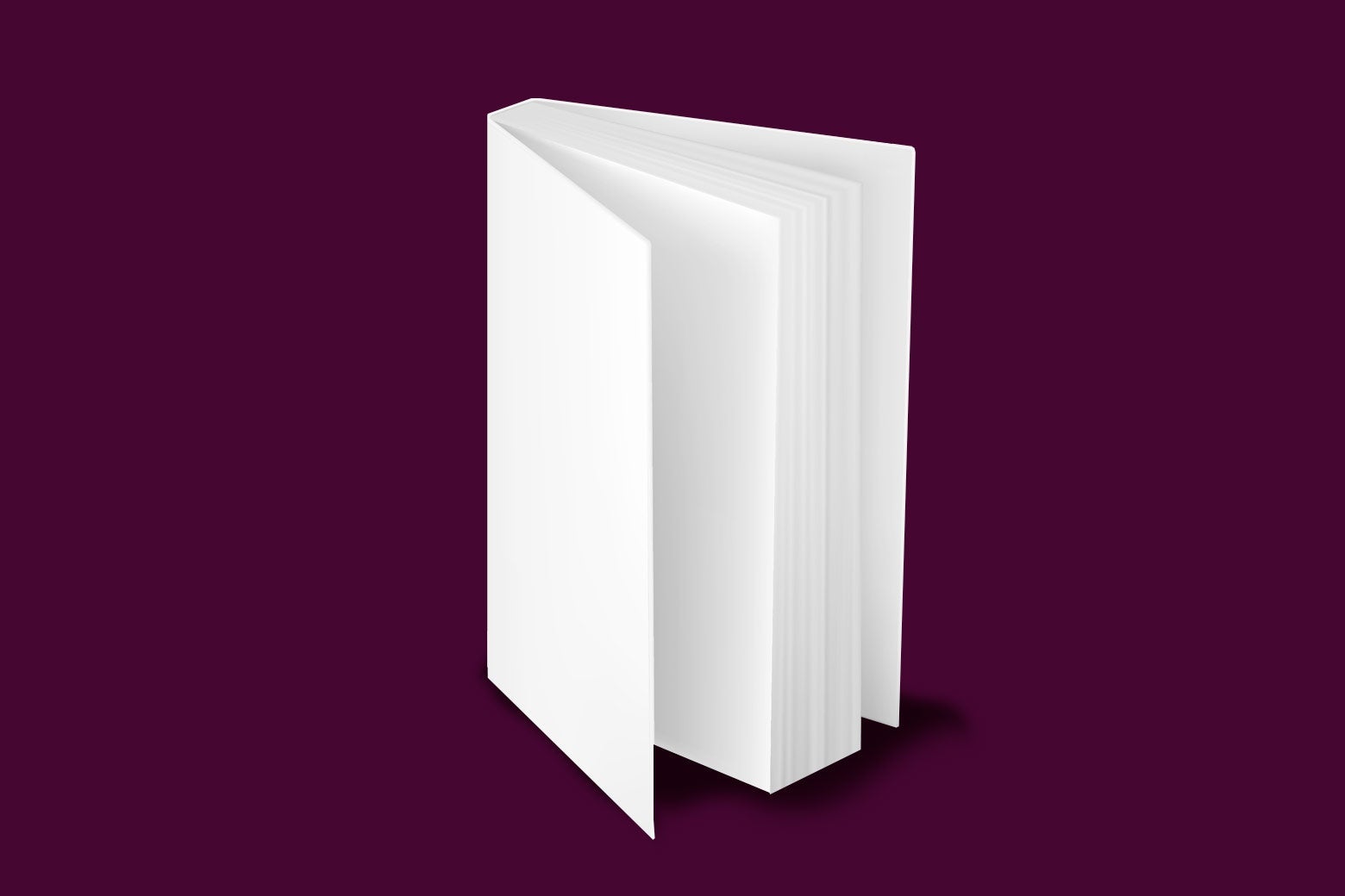A totally blank book standing up slightly open