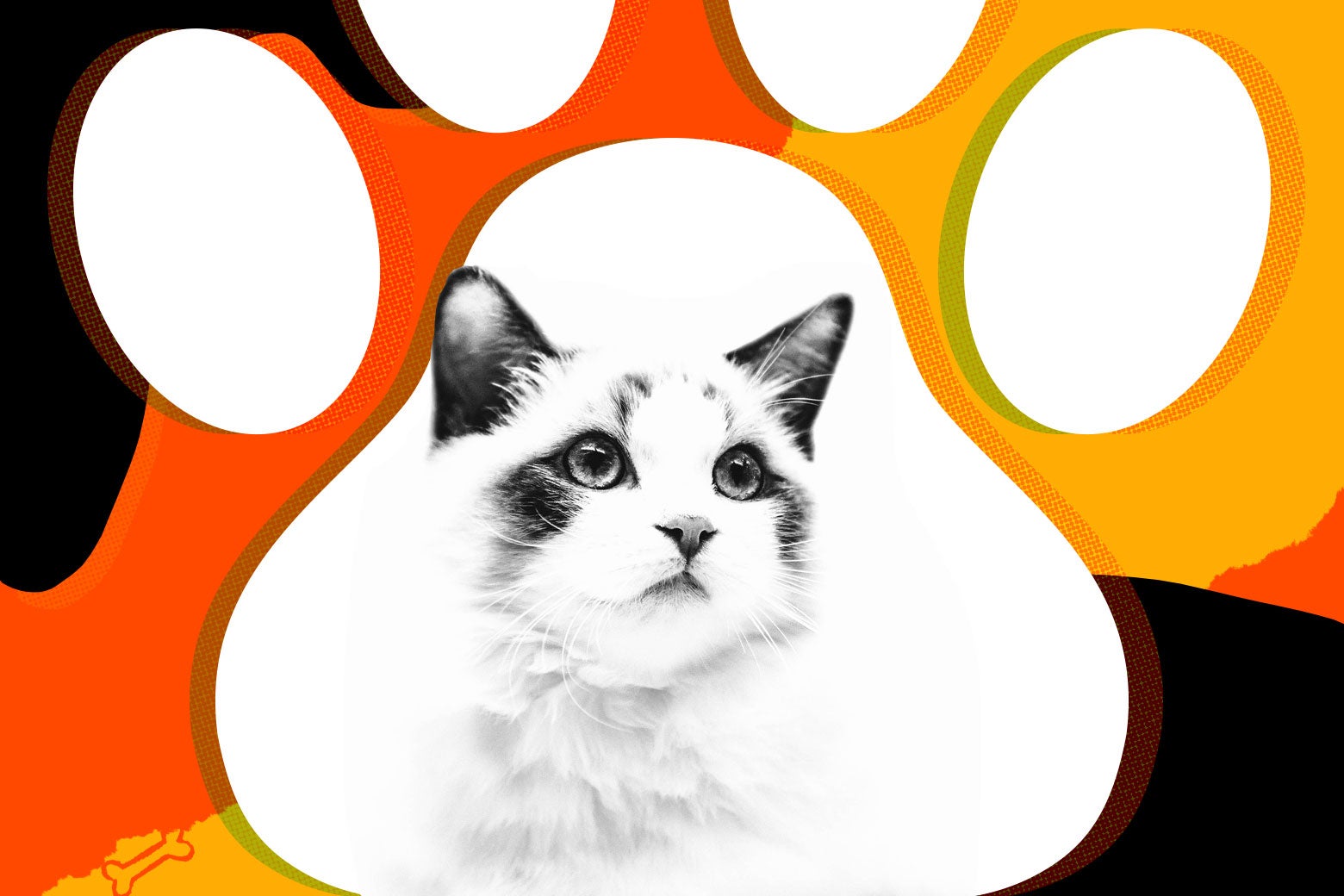 How to talk to your kids about a pet's death.