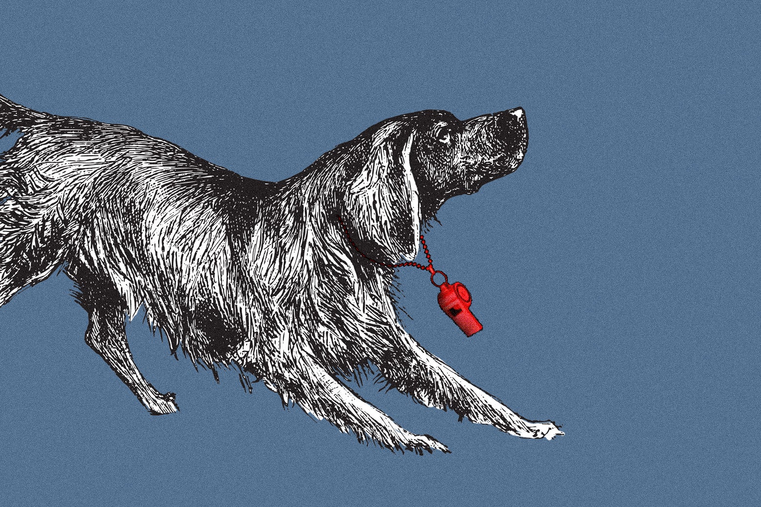 Illustration of a dog with a red whistle. 
