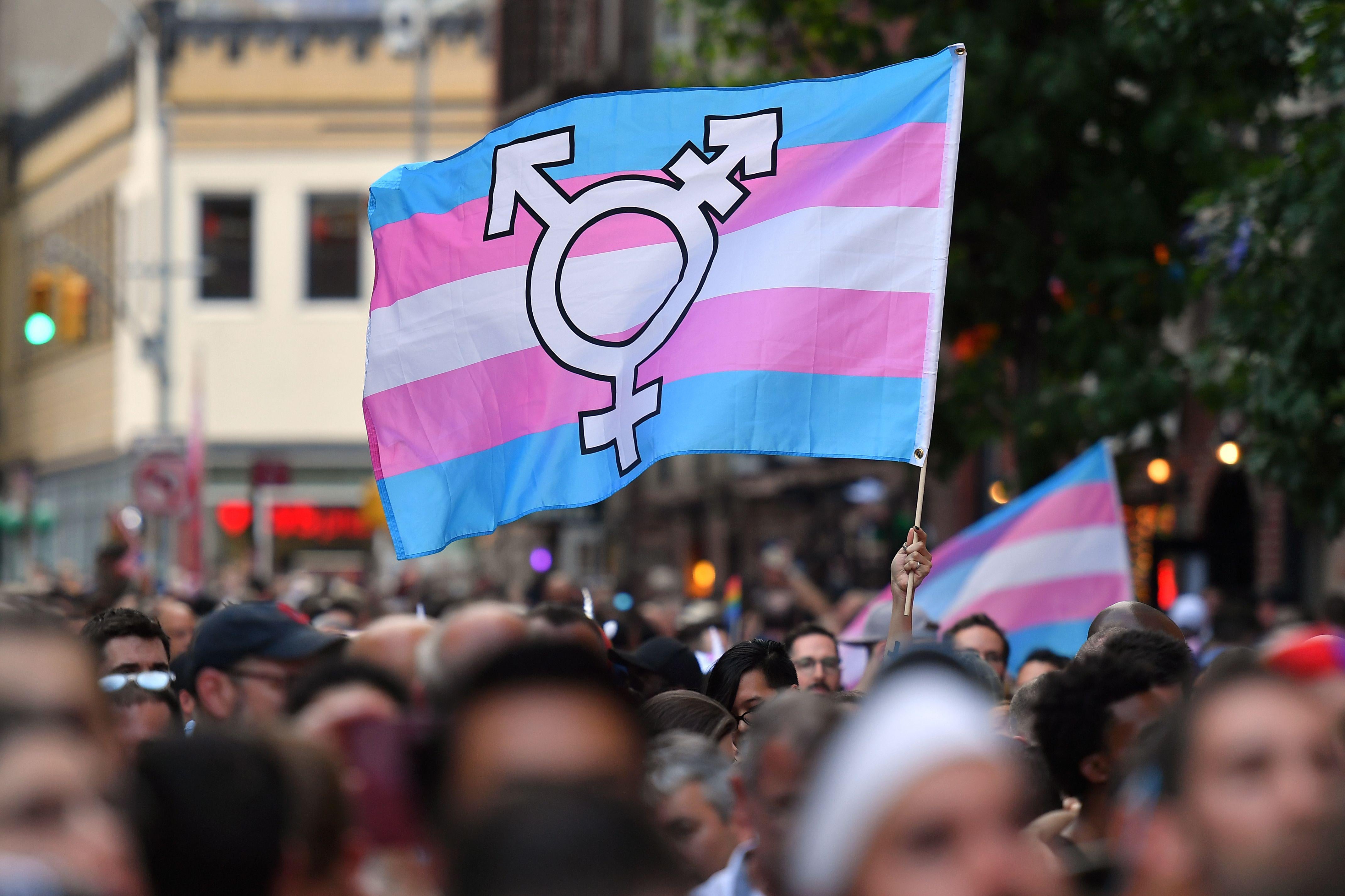 A person holds up a transgender pride flag in the middle of a crowd.