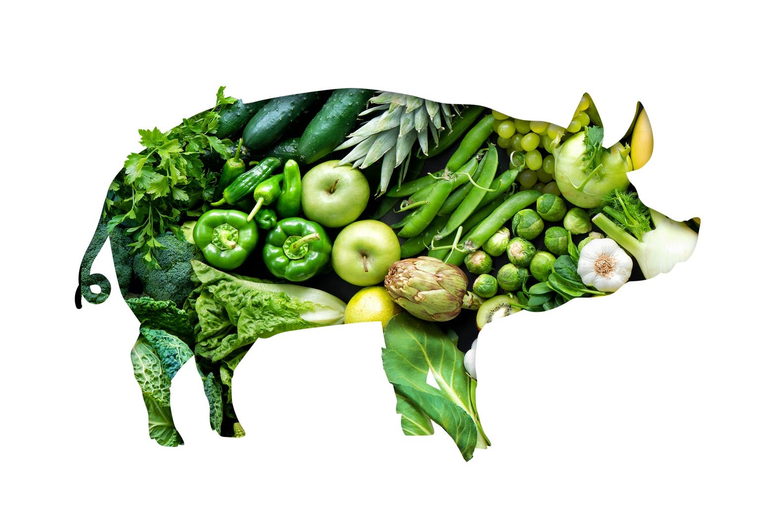 A silhouette of a pig made entirely out of green vegetables and plants.