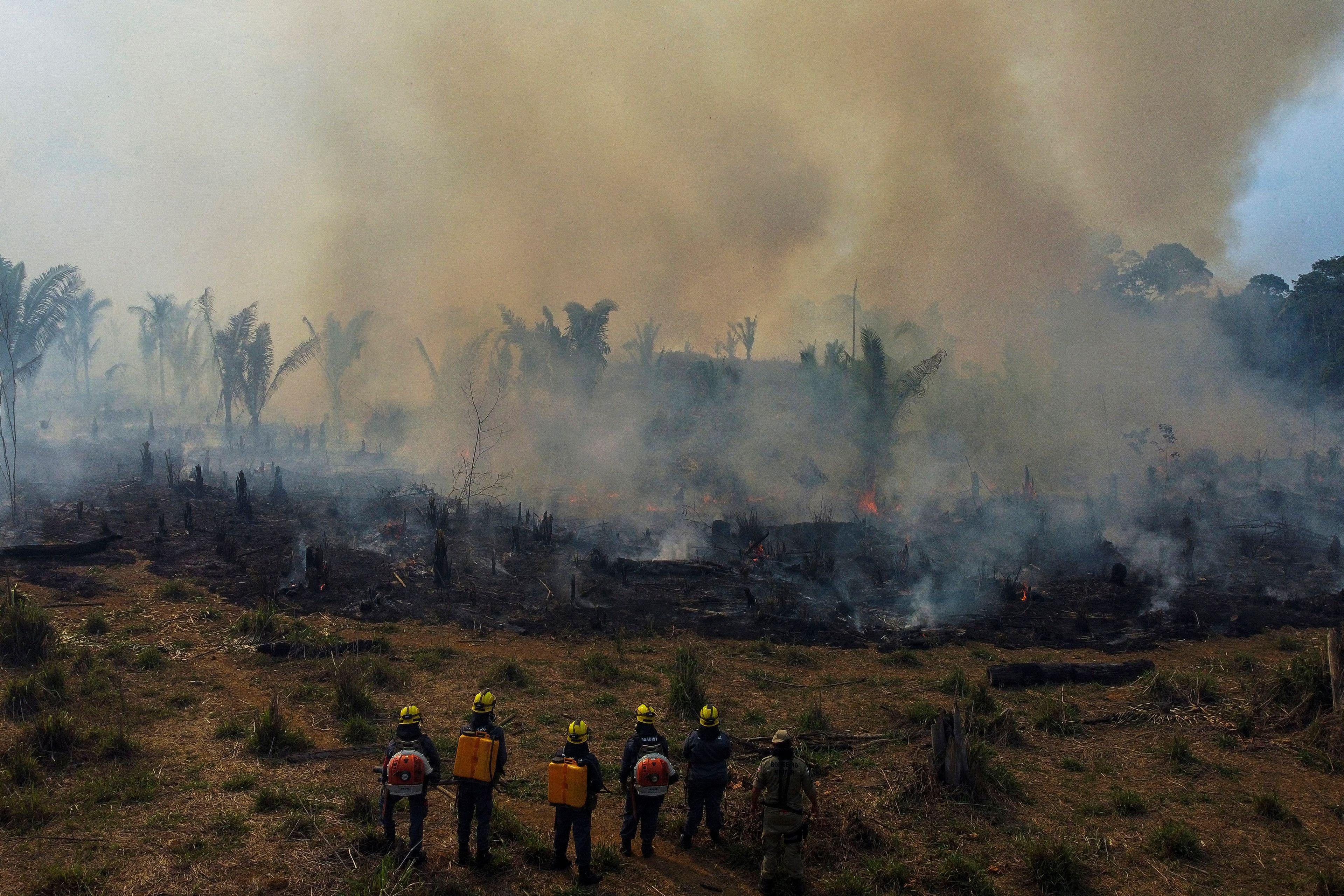 Firefighters looking at a mass of smoke in the Amazon rainforest
