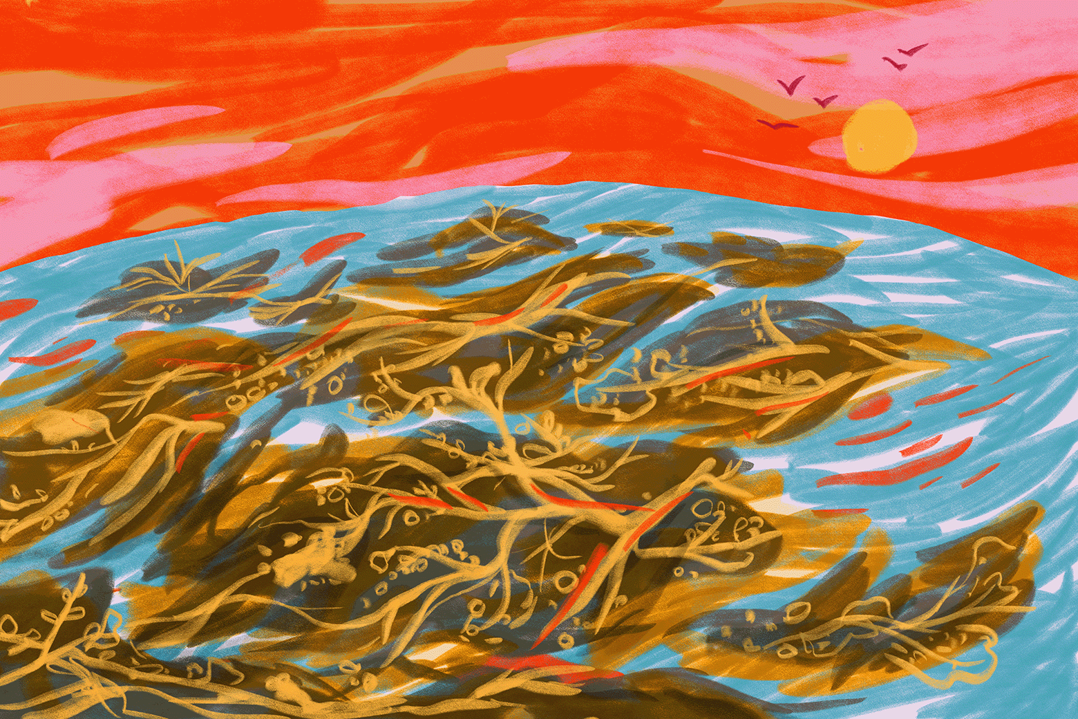 Green seaweed under a turquoise ocean moves with the current as birds fly in an orange and pink sky. 