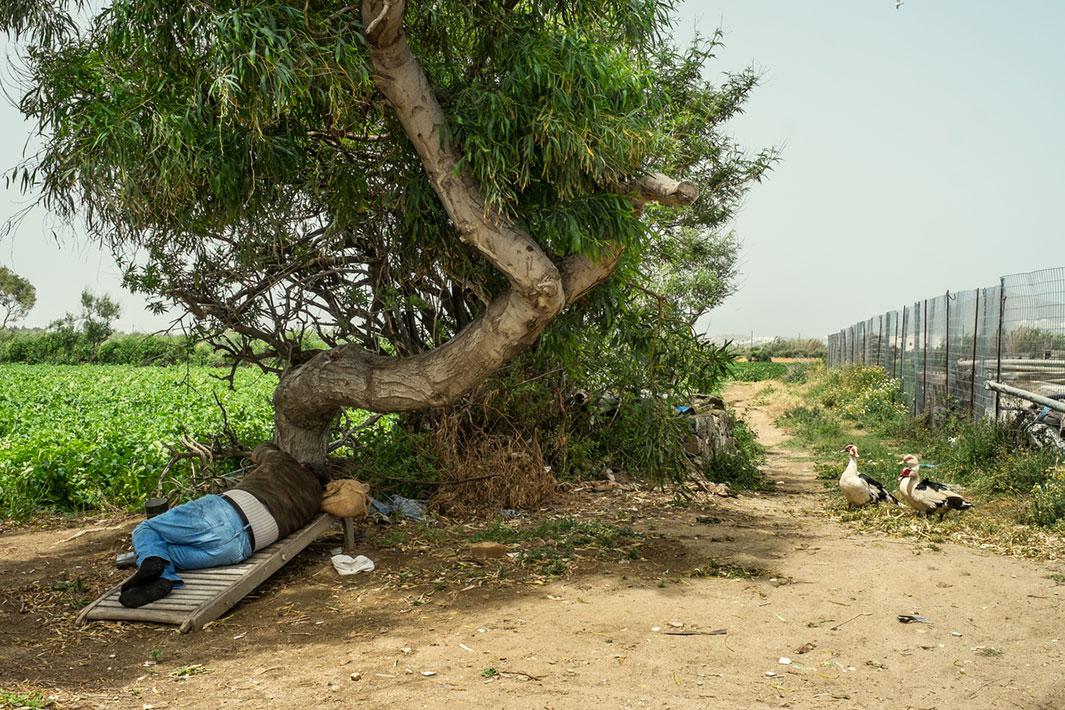 A man sleeps under the attentive observation of his ducks in Naxos, Greece, in 2013.