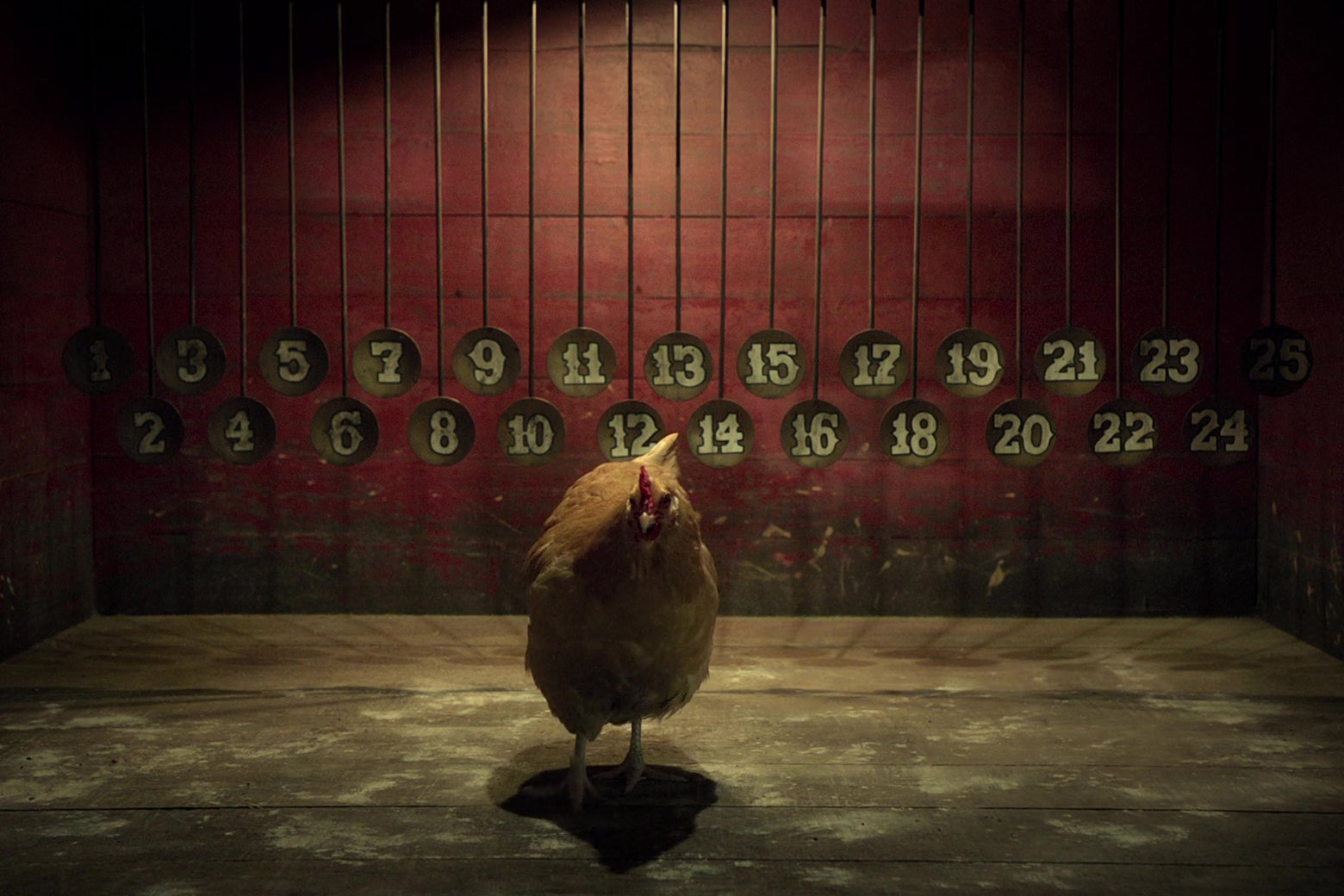 A chicken in front of a wall of tin plates with numbers painted on them. 