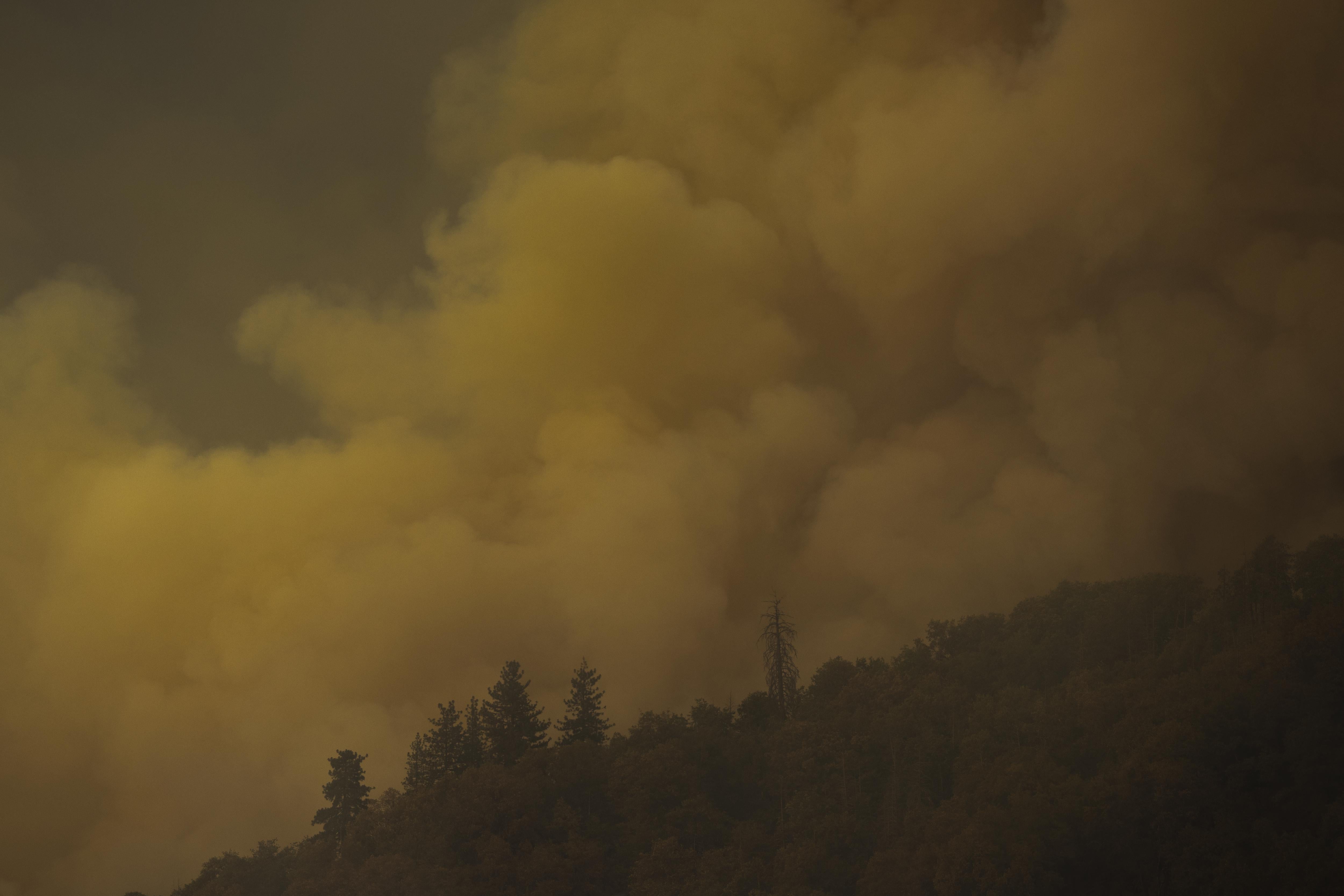 Smoke rises from a forest on a hill.