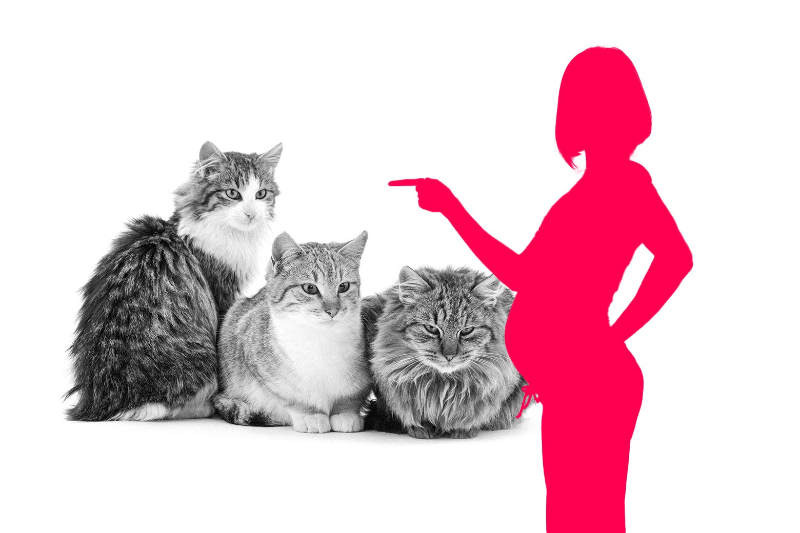 Help! My Daughter-in-Law Got Pregnant. Now She Has a Litany of Demands.
