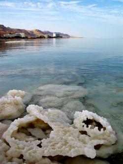 Salt crystals along the Dead Sea shore.