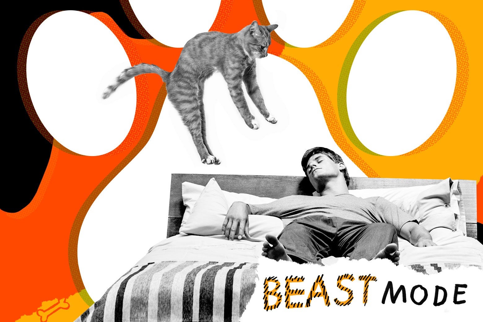 Photo illustration of a cat dive-bombing onto a sleeping man.