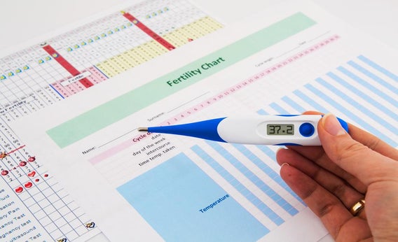 Chart Paper for 7-Day Recording Thermometer, Paper Only