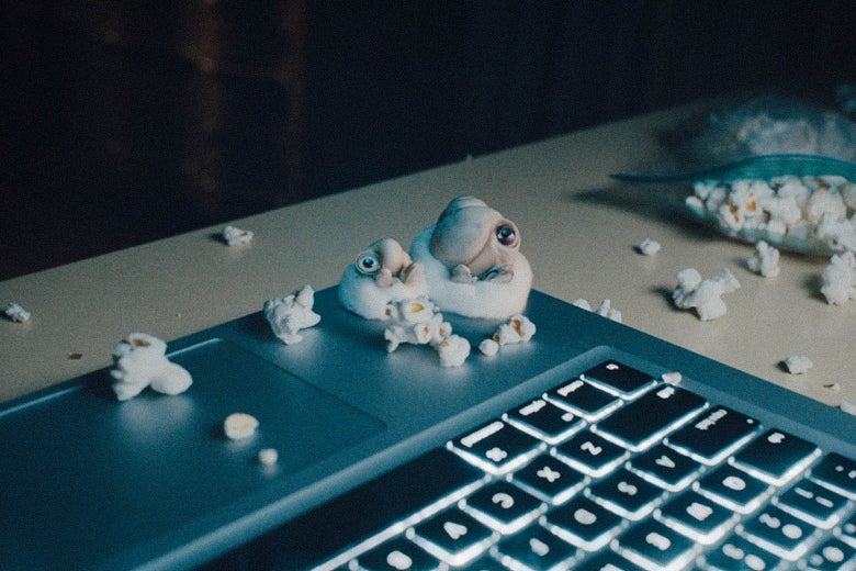 Two small snail shells with googly eyes at their openings sit on tiny beanbags that look like they might just be cottonballs, atop a laptop keyboard, gazing up at the brightness of the screen. Scattered around them is popcorn that is the same size as them.