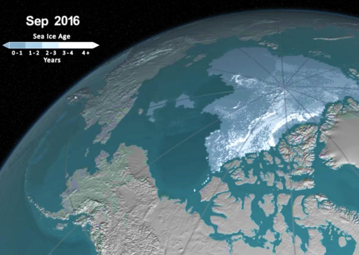 NASA video shows Arctic sea ice change since 1984.