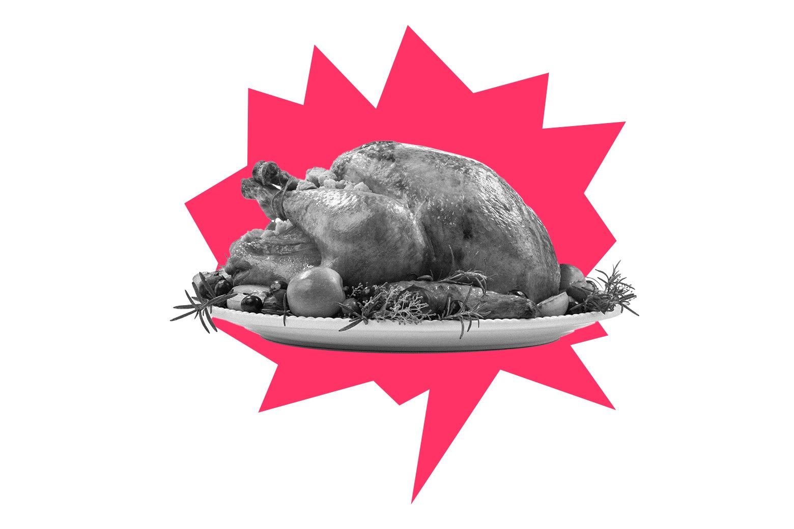 A Thanksgiving turkey.