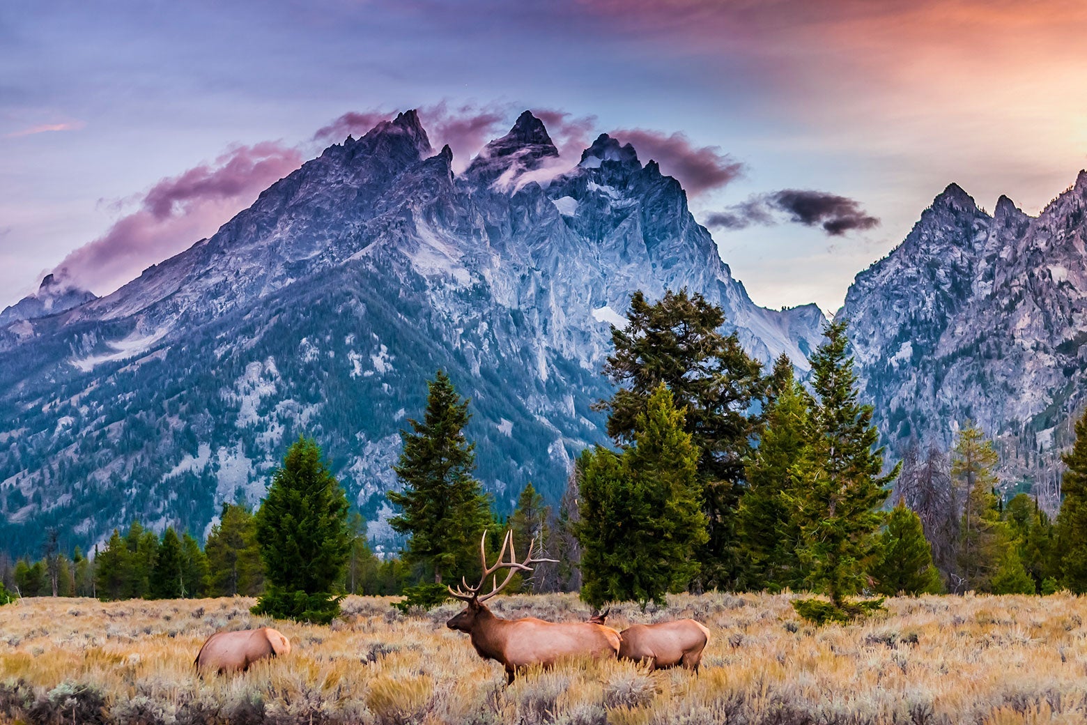 Joe Biden&rsquo;s Conservation Plan Leaves Plenty of Room for People to Take Advantage