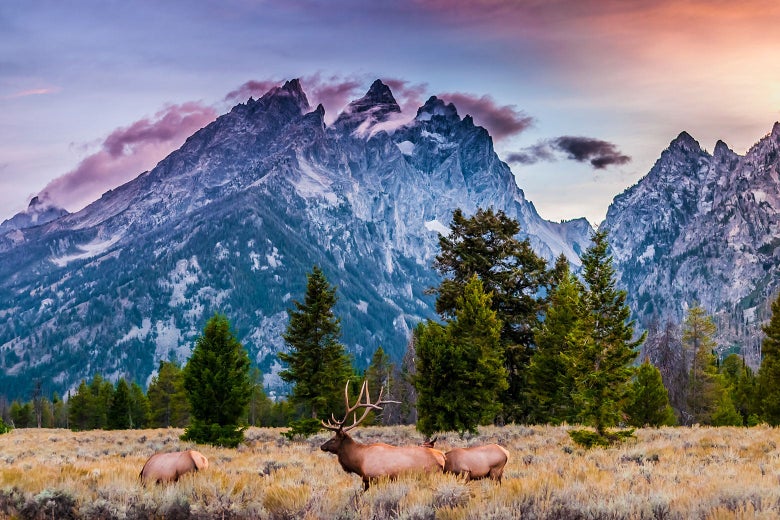 Joe Biden’s Conservation Plan Leaves Plenty of Room for People to Take Advantage Joe Biden’s Conservation Plan Leaves Plenty of Room for People to Take Advantage