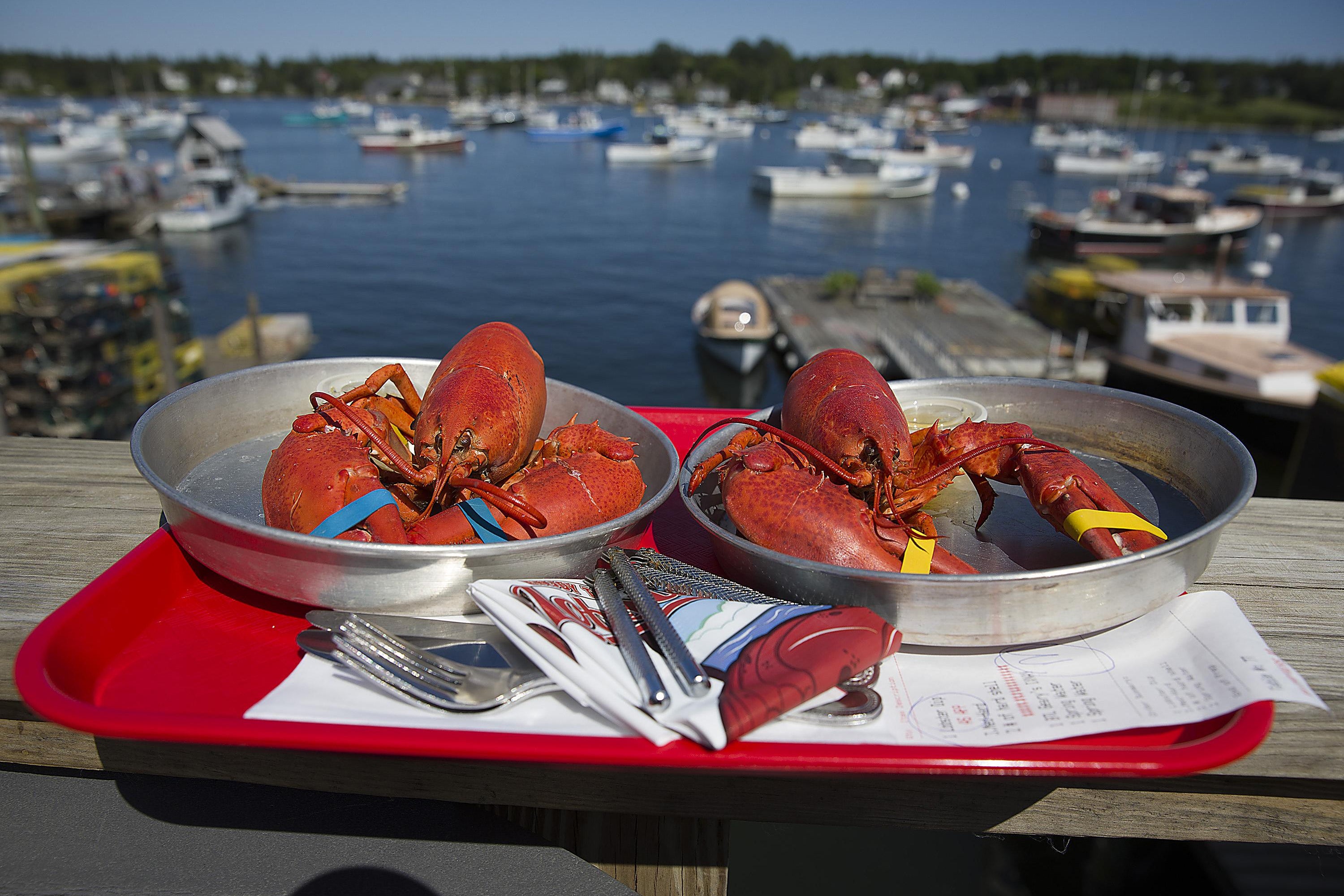 Two cooked lobsters on metals plates. They are perched on the ledge of a wooden dock, in the background is a harbor full of boats. 