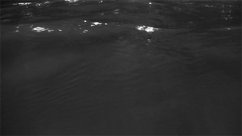 dark water gif tumblr