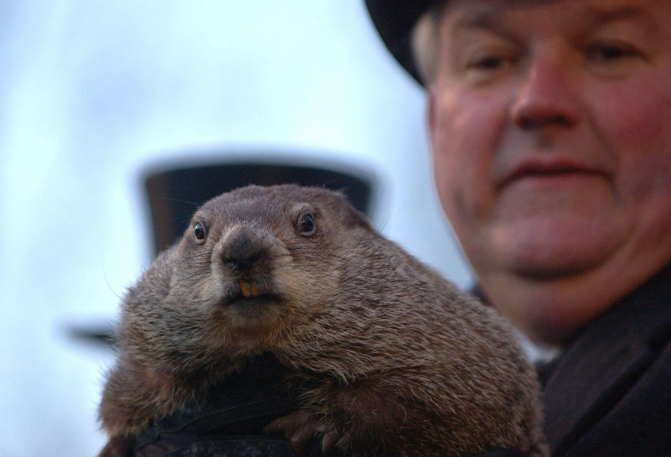 Like Groundhog Day: The Misuse of a New Cliche