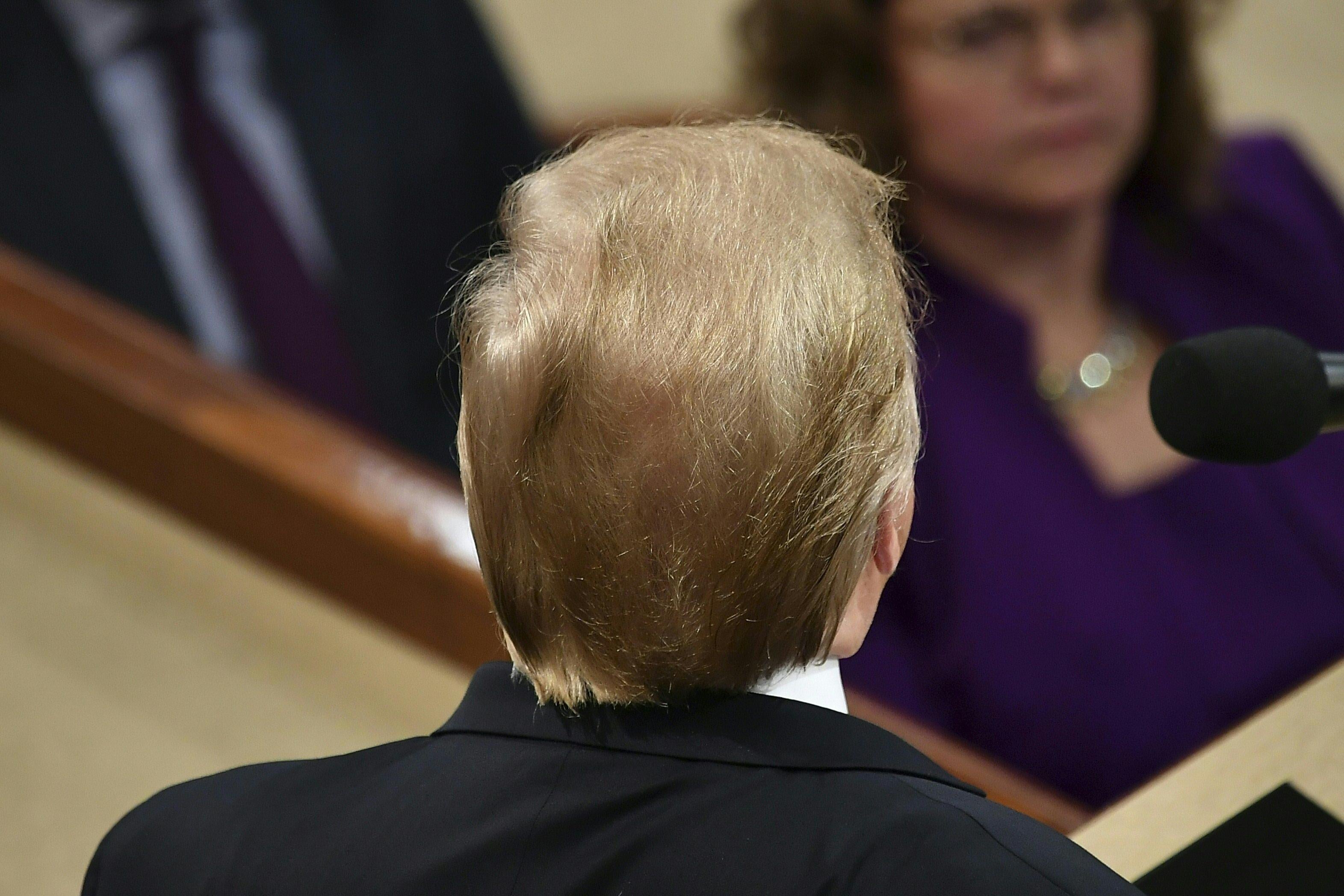 The back of Donald Trump's head.