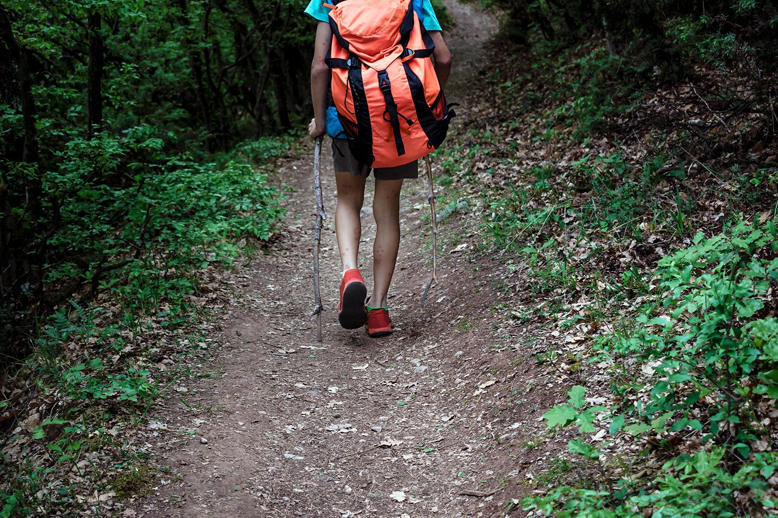 A person hiking alone in the woods with a walking stick and orange backpack. 