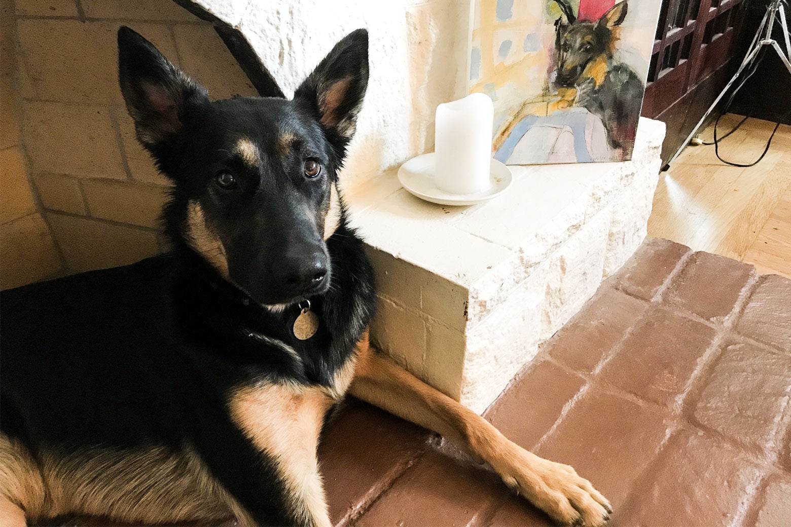 German Shepherd sitting by the fireplace.