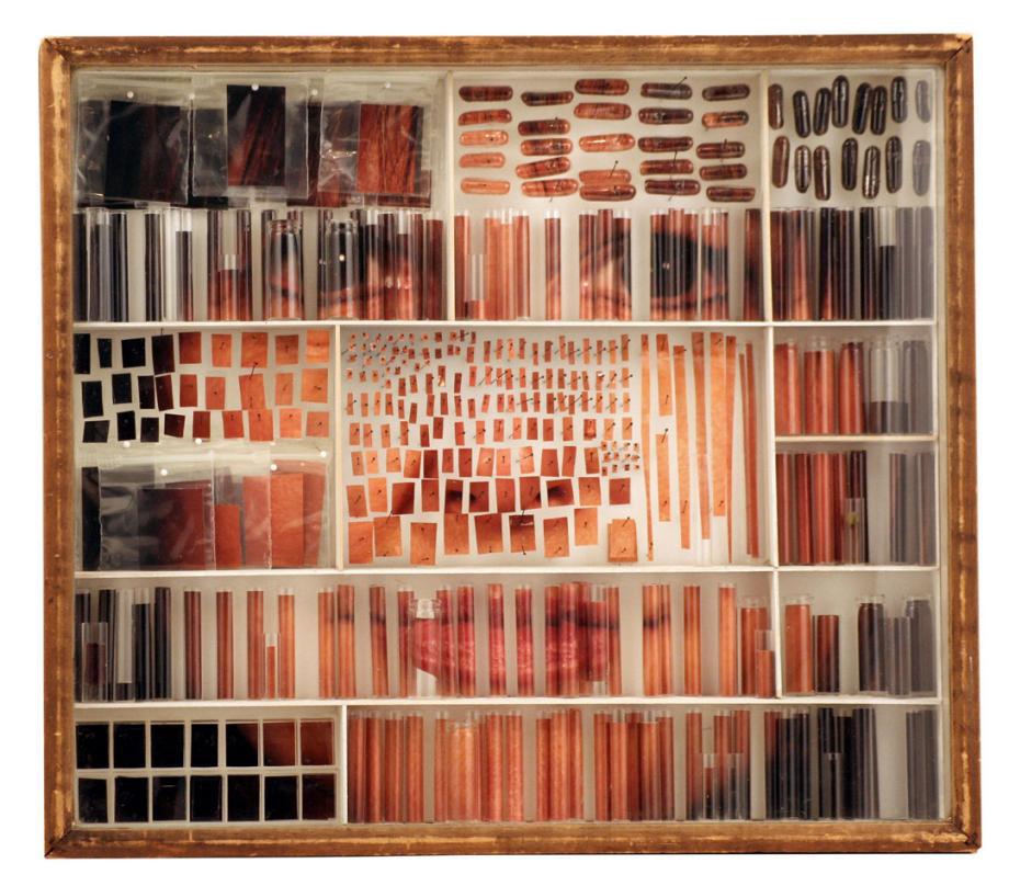 Michael Mapes' Specimen Box Photography.