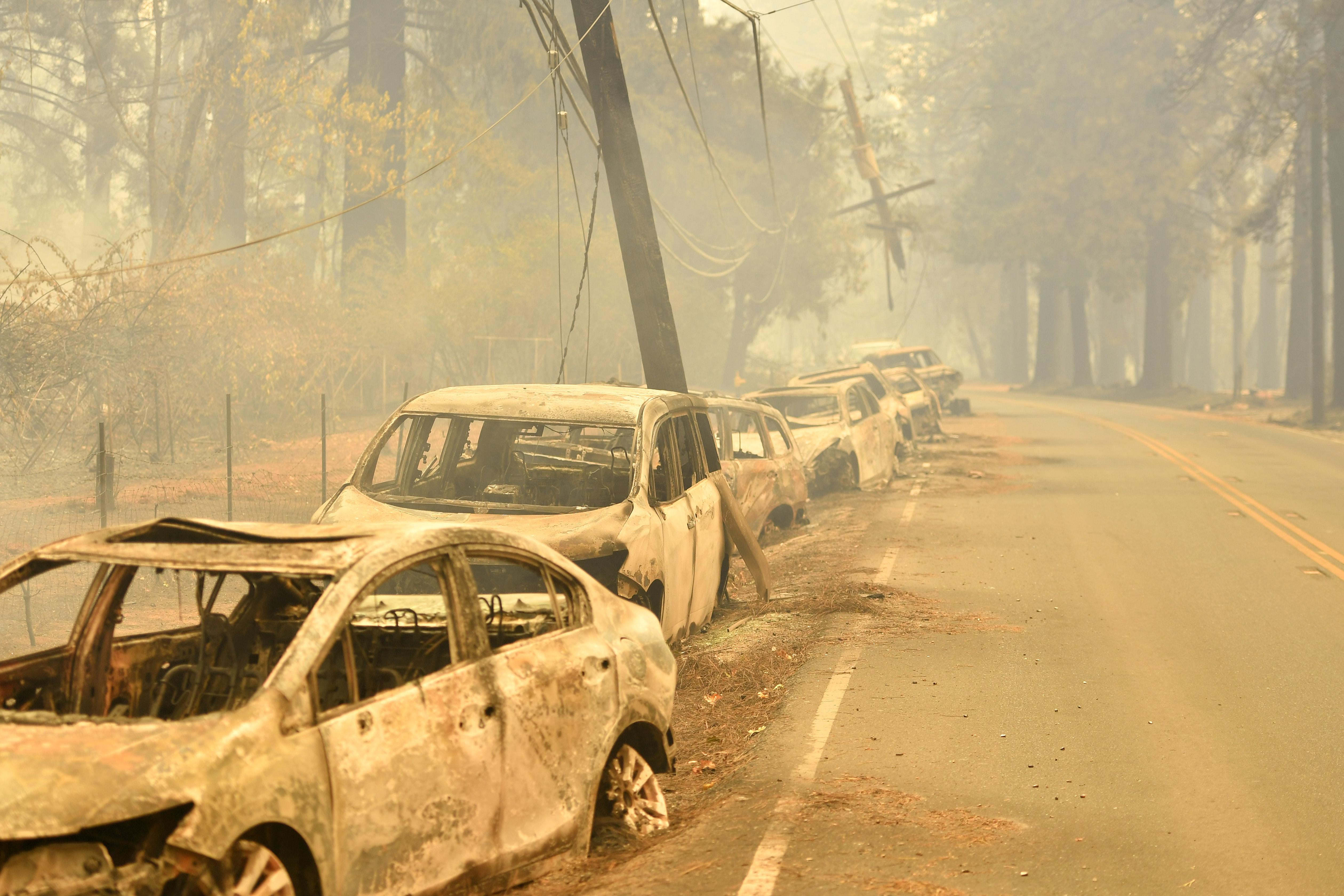 Burned vehicles on the side of a road ravaged by wildfire.