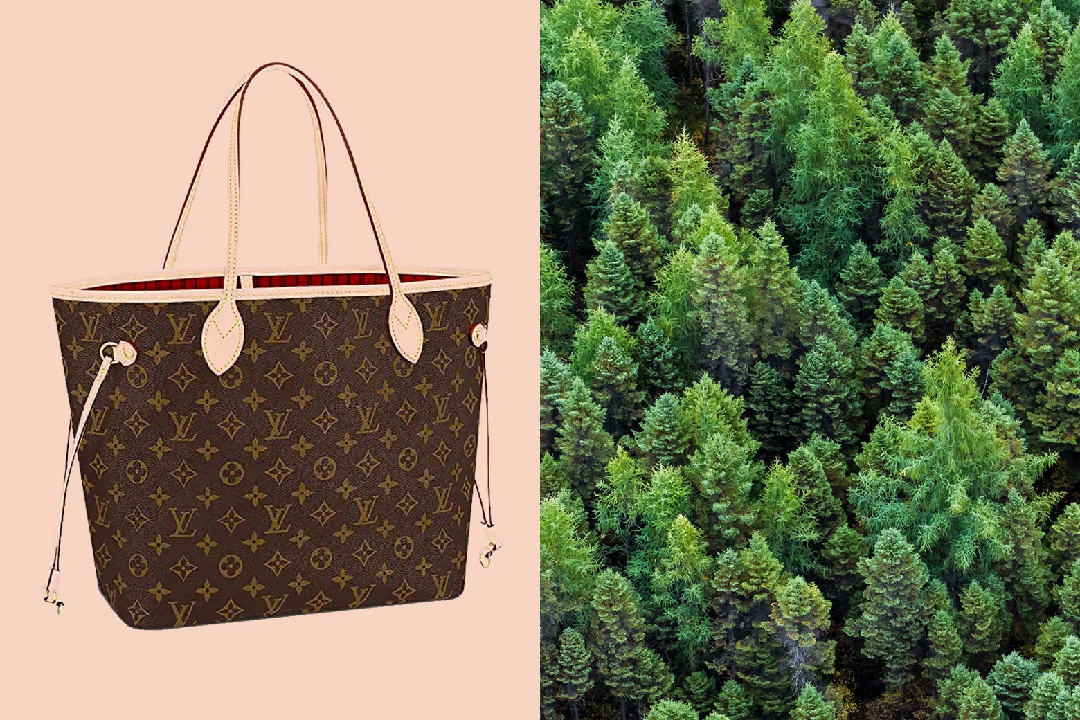 Why Louis Vuitton suddenly cares about Canadian old-growth forests. - Vimarsana News