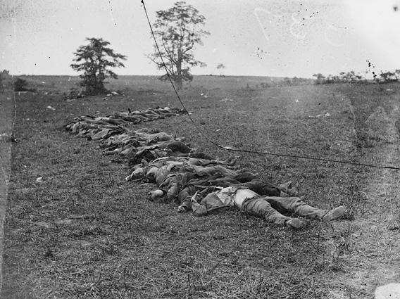 Bodies of Confederate dead gathered for burial at Antietam.
