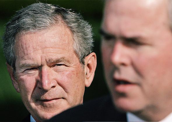 Bush Bush