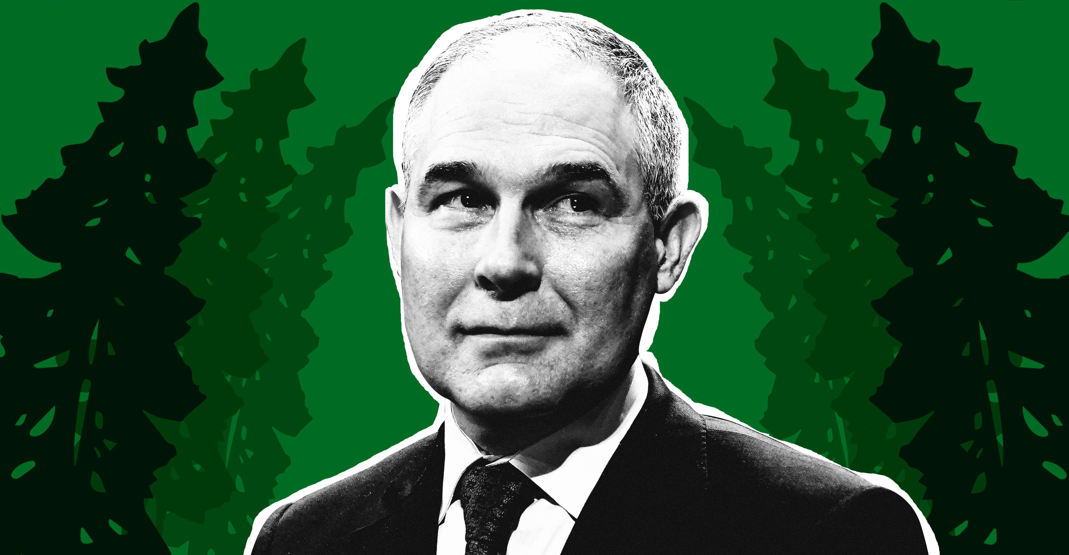 Scott Pruitt with some trees in background.