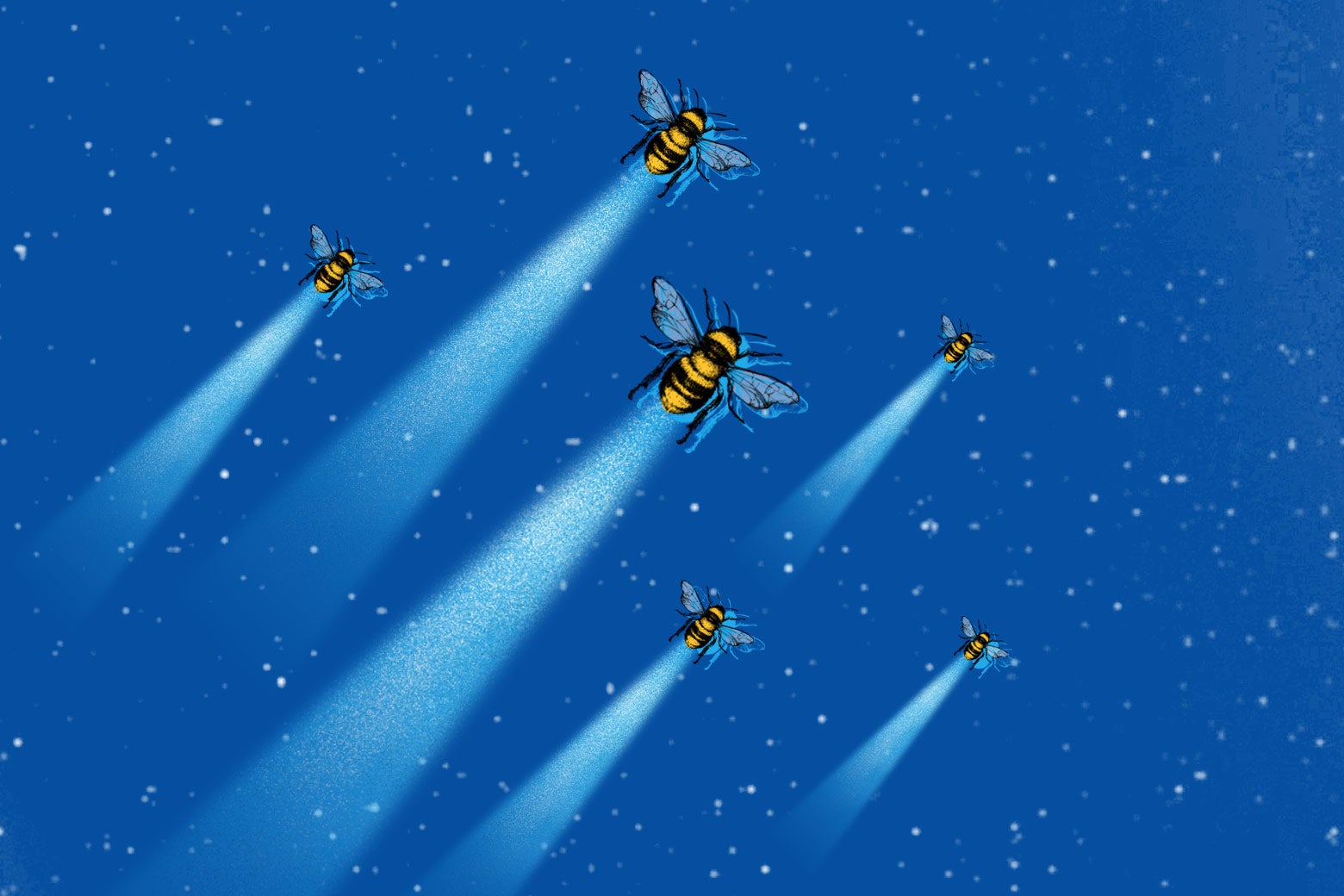 Space bees.
