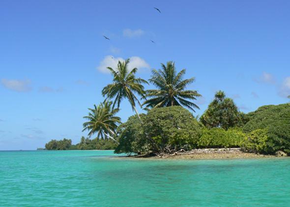 Palmyra Atoll.