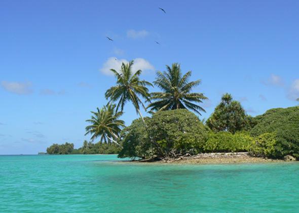 Palmyra Atoll. 