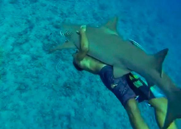Swimmer in Bora Bora Bear Hugs Shark and Goes For a Ride 