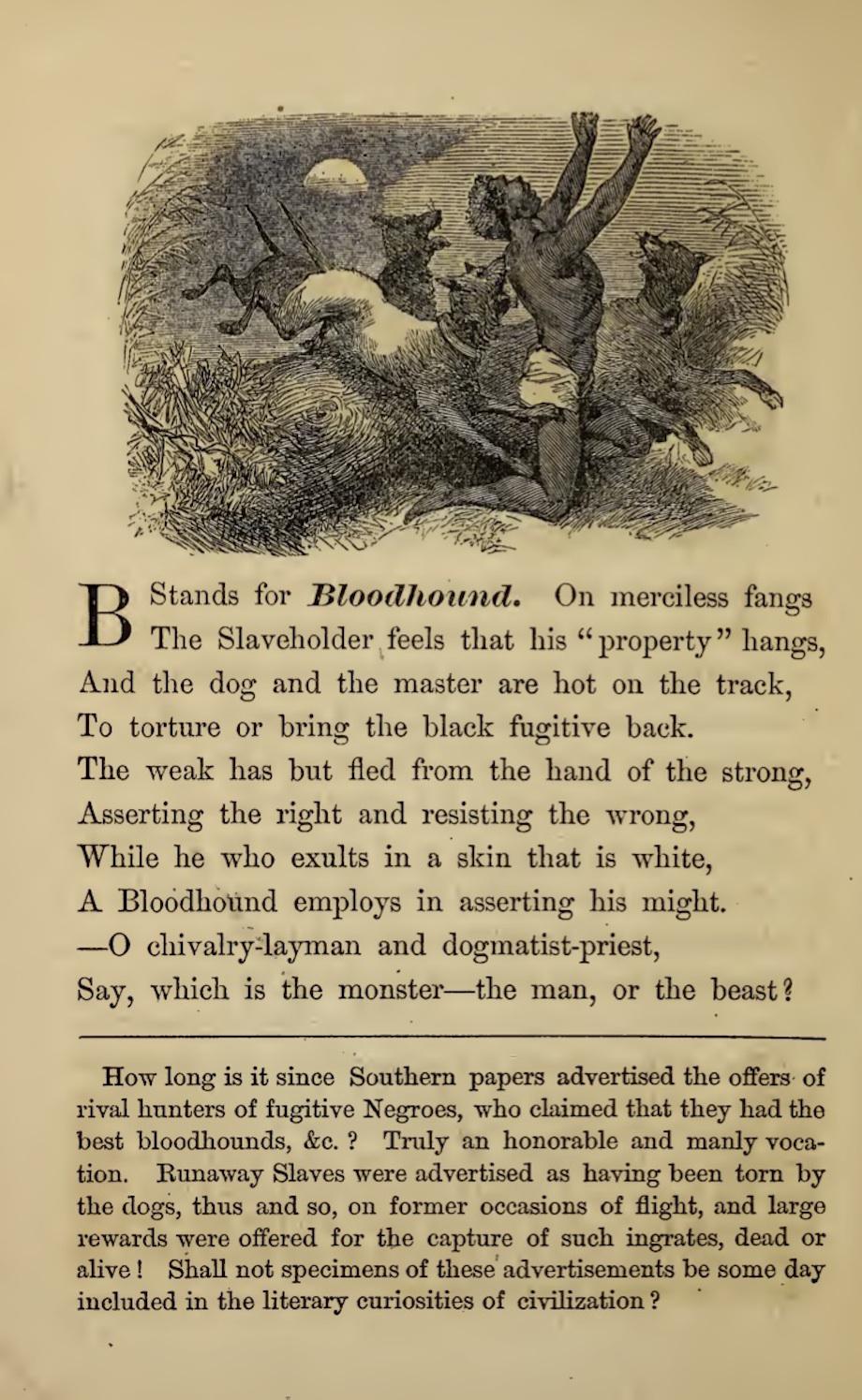 B Stands For Bloodhound