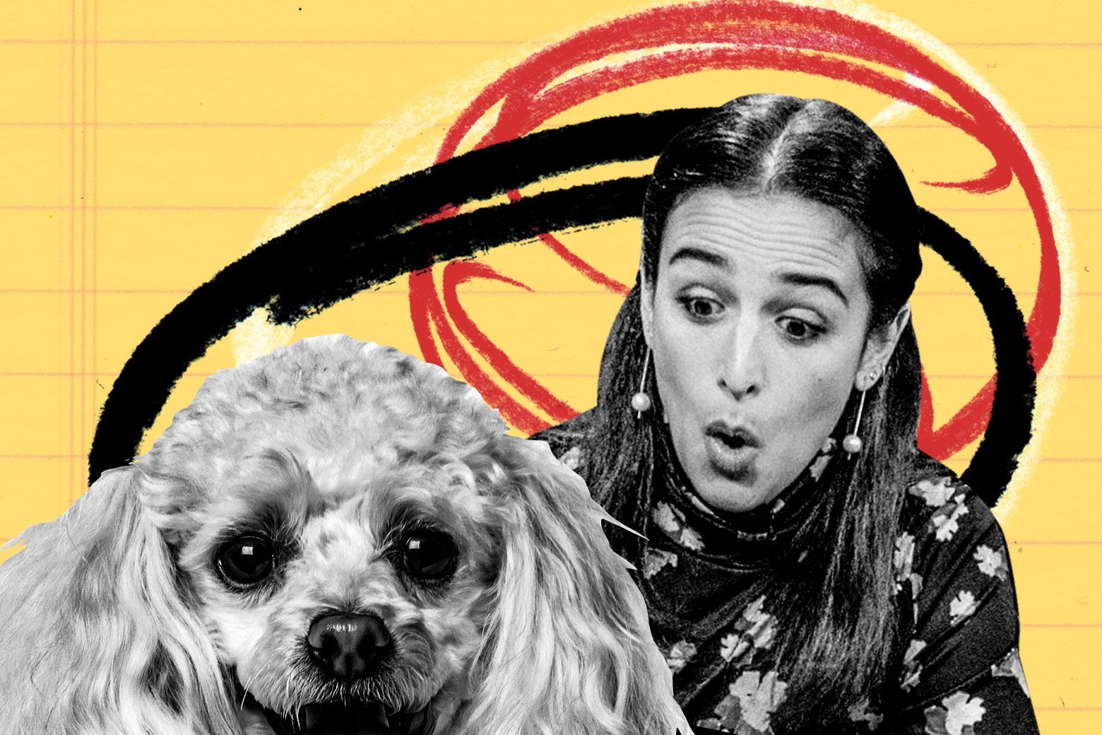 Jenny Slate looking surprised and a dog